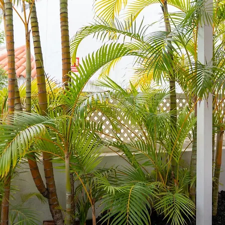 Rooftop Jaccuzi - Pool - Fitness Area - Free Wifi - Air Conditioner - Pool - Modern & Comfortable - Sunnygolf Bungalow * Maspalomas (Gran Canaria)